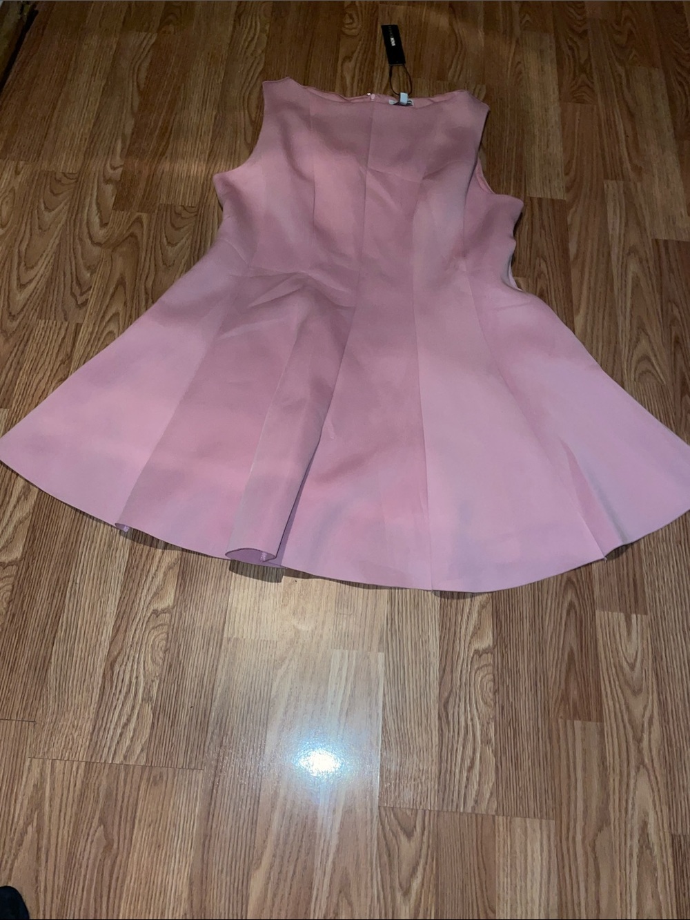 Fashion Nova Blush Pink Sleeveless Fit & Flare Mini Dress